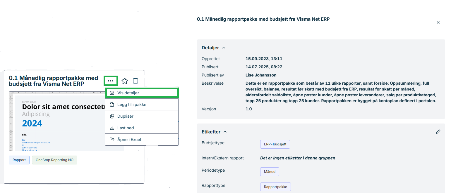 Använd Roller och Etiketter för att filtrera rapporter OneStop Reporting